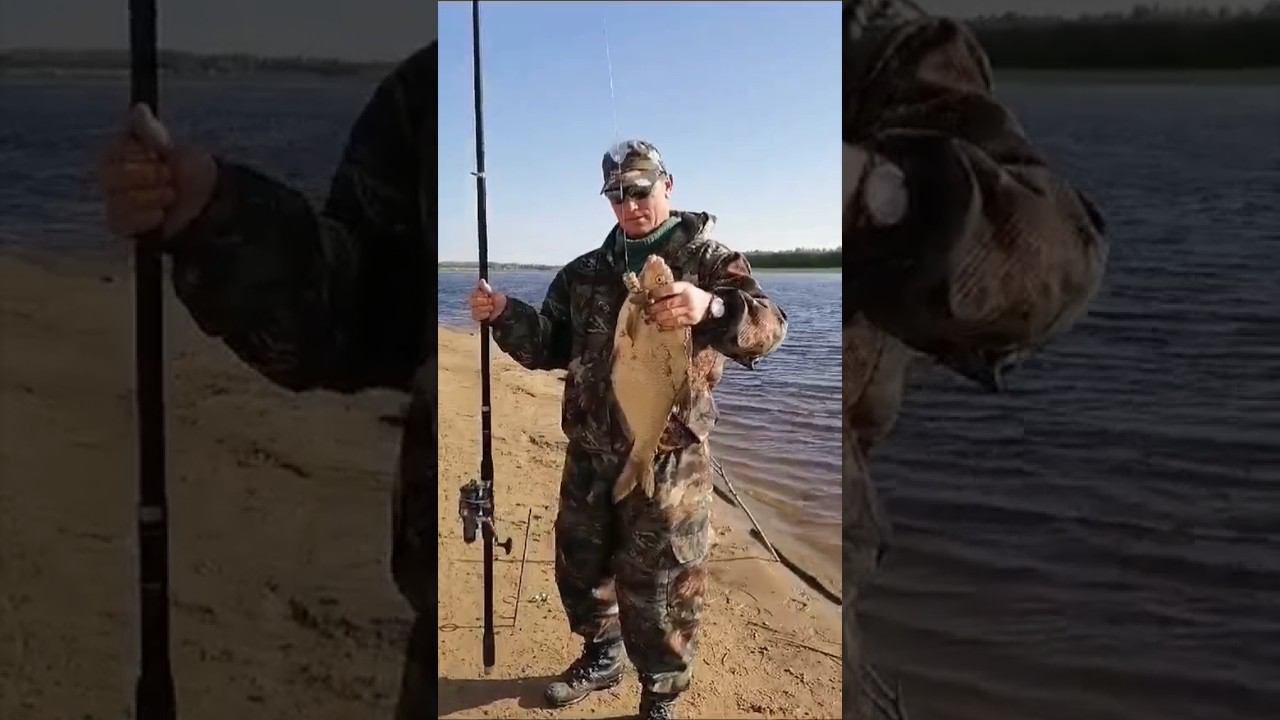 Лещ 2.130 кг на донку. смотреть онлайн