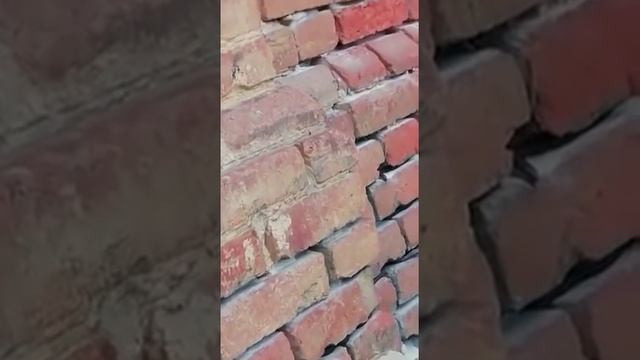змеи смотреть онлайн