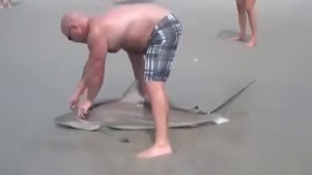 Черноперую Акулу поймали на удочку смотреть онлайн