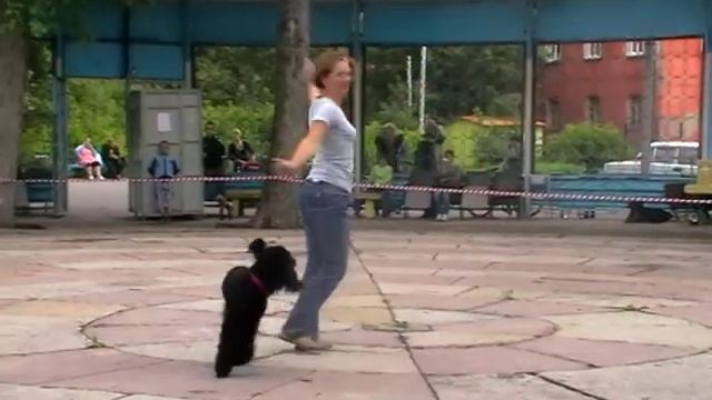 Похвищева Юлия и Лира. Танец бабочки смотреть онлайн