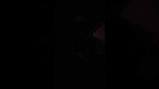 Яндекс станция мини. Проблемы. Алиса игнорирует хозяина! смотреть онлайн