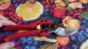 Секатор плоскостной Mr. Logo.