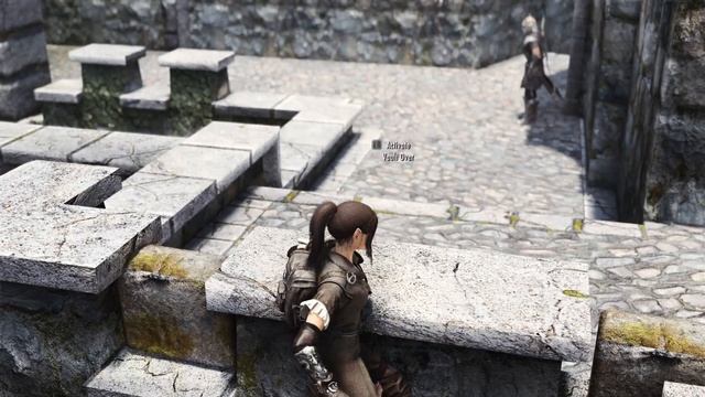 Skyrim Mod - EVG Animated Traversal