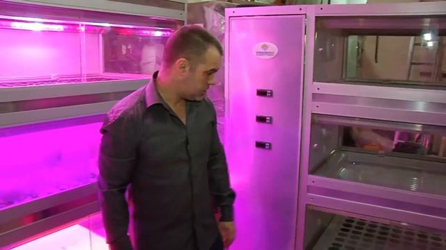 Витрина-Теплица или автономная камера смотреть онлайн