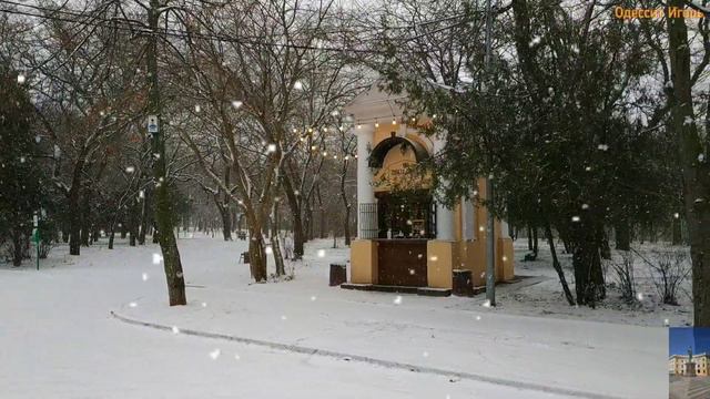 СНЕГ В ОДЕССЕ❗SNOW IN ODESSA❗ПАРК ШЕВЧЕНКО❗26.12. 2021г. #одесса #odessa #снег #зима2021 #новыйгод смотреть онлайн