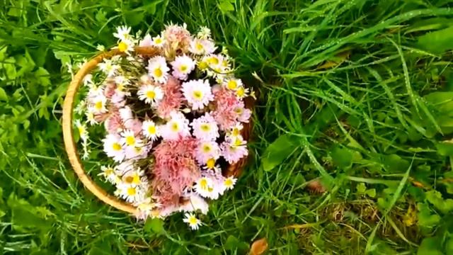 корзинка для дорогого для меня человека =Друга ! ЗАРЫ !!! 27 . 08 .2022 г Москва ! Коломенский парк смотреть онлайн