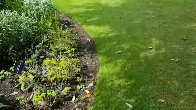 A Virtual ‘Wellness Wander’ 15 July 2020