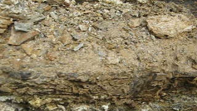 Лечение карциномы.