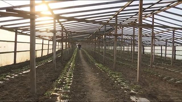 Фермер Александр Осадченко - Темрюкский район смотреть онлайн