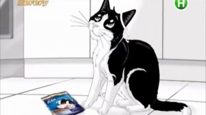 Реклама корм для котов Феликс фантастик 2017 / Felix (Новый канал, май 2017)