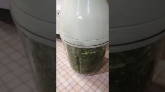 Забавные анекдоты