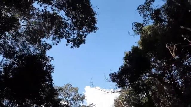 BEING A DIGITAL NOMAD IN LONELY BEACH ON KOH CHANG | TRAVEL VLOG #42 смотреть онлайн