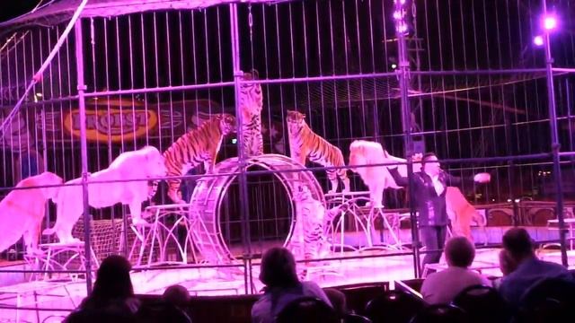 цирк в Германии,Circus In Deutschland