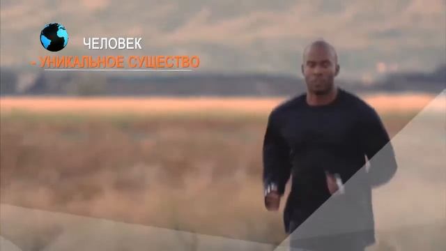 Теория Дарвина / Theory of Darwin смотреть онлайн