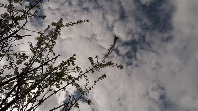 Жениться - это... мужской взгляд | Создать семью | Жениться | Современная семья | ТРЭШ Labs смотреть онлайн