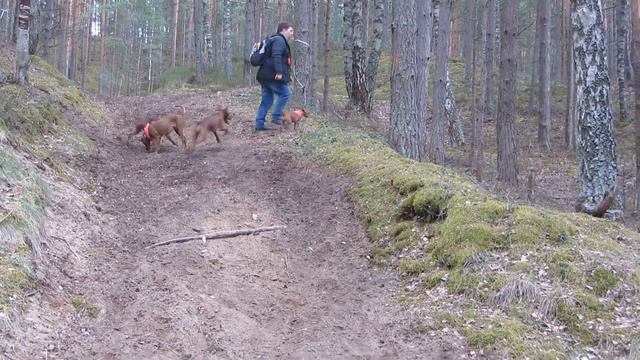 1 мая 2017 года. Залив. ч.2 смотреть онлайн