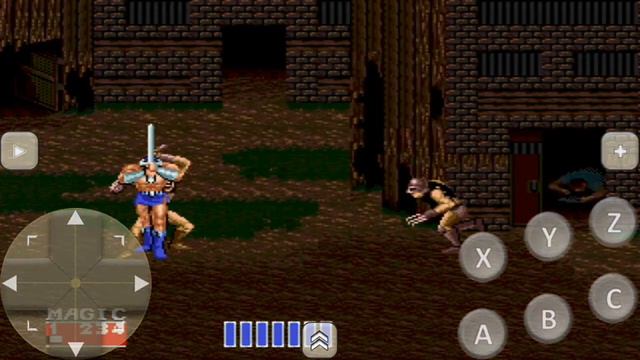 Golden Axe II - Sega Genesis - Cheat Codes #emulator #cheatcodes #sega