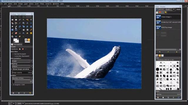 GIMP 2.8 How to Use Corrective Roations смотреть онлайн