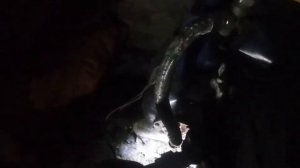 Первый запуск насосной станции или как залить воду для запуска...