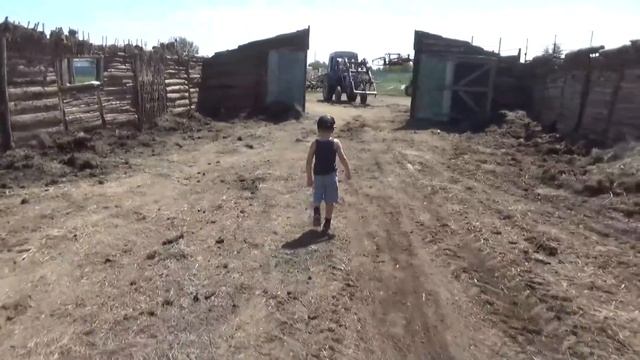 Внук помогает строить. Видео от подписчика из Германии. смотреть онлайн