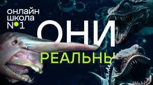 Самые таинственные и жуткие обитатели морского дна