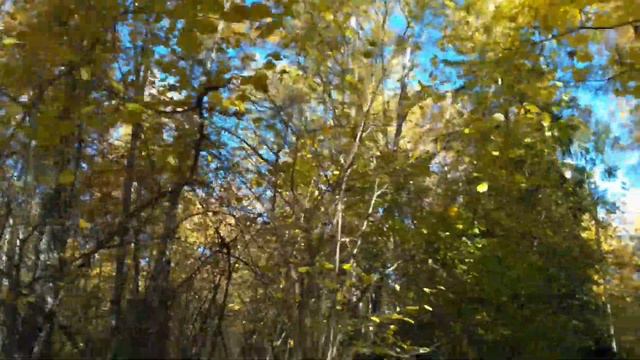 Родной Зеленоград!=) смотреть онлайн