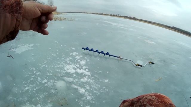 Безмотылка гвоздешарик свое дело знает!