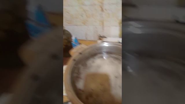 мариную зелёные помидоры смотреть онлайн