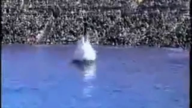 Видео с касаткой смотреть онлайн