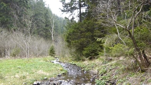 Озеро Синевир, Закарпатье, май 2015 г. смотреть онлайн
