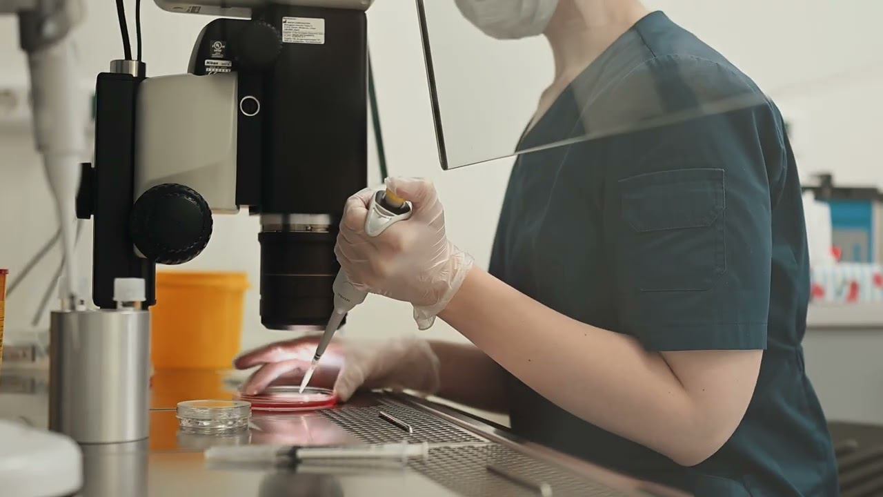 Лаборатория врт смотреть онлайн