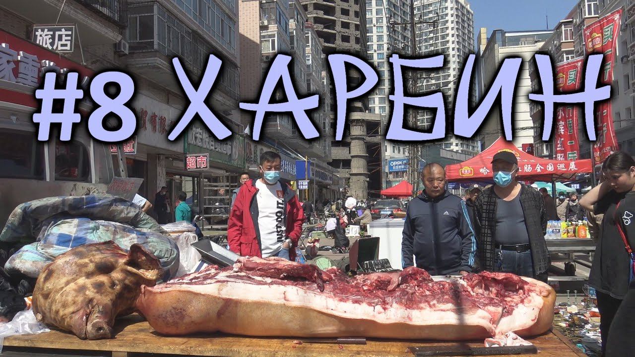 #8 Харбин. Антиквариат, кости динозавров и свинячьи писюны. Что продают на барахолке. смотреть онлайн