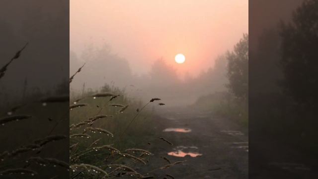 Улетные хиты лучших исполнителей о любви ❤️ Людмила,Настя. смотреть онлайн