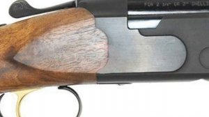 ?ATA ARMS SP ПОДРОБНЫЙ ОБЗОР