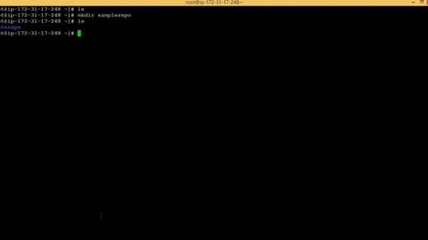 GIT in Telugu by Sankar