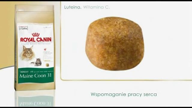 #1 Rasy kotów - Maine Coon || ROYAL CANIN смотреть онлайн
