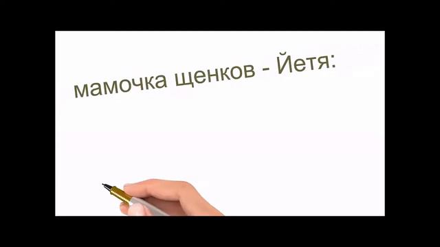 Щенки Ризеншнауцера смотреть онлайн
