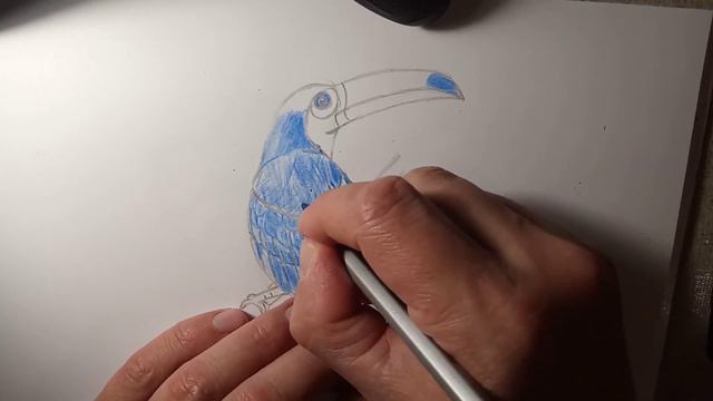 Тукан смотреть онлайн