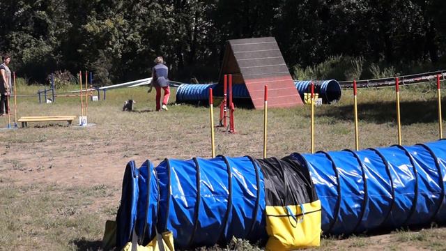 Самохвалова Юлия / Б/п Asunta obyknovennoe chudo / Аджилити смотреть онлайн