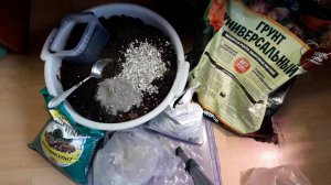 Готовим почву для рассады  перцев и томатов, чтобы росла   сильной, без подкормок