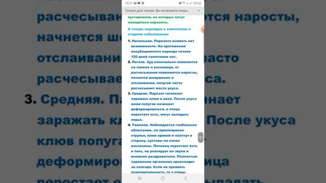 Клещ у волнистого попугая. Симптомы и стадии болезни. смотреть онлайн