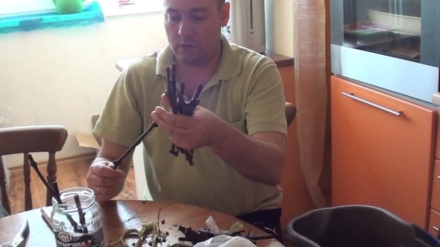 укоренение плохих черенков винограда смотреть онлайн