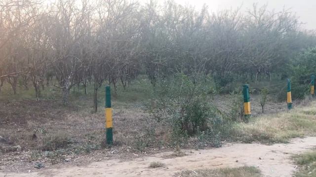 Aman ne Dimanshu ko Smuggler Bol Diya | Harbal Park Jind | RN Ronit1 Vlogs смотреть онлайн