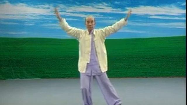 Тайцзи Цигун ЯнШен 8 форм
