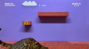 Супер Марио кошачье прохождение ?. Уровень 1-1