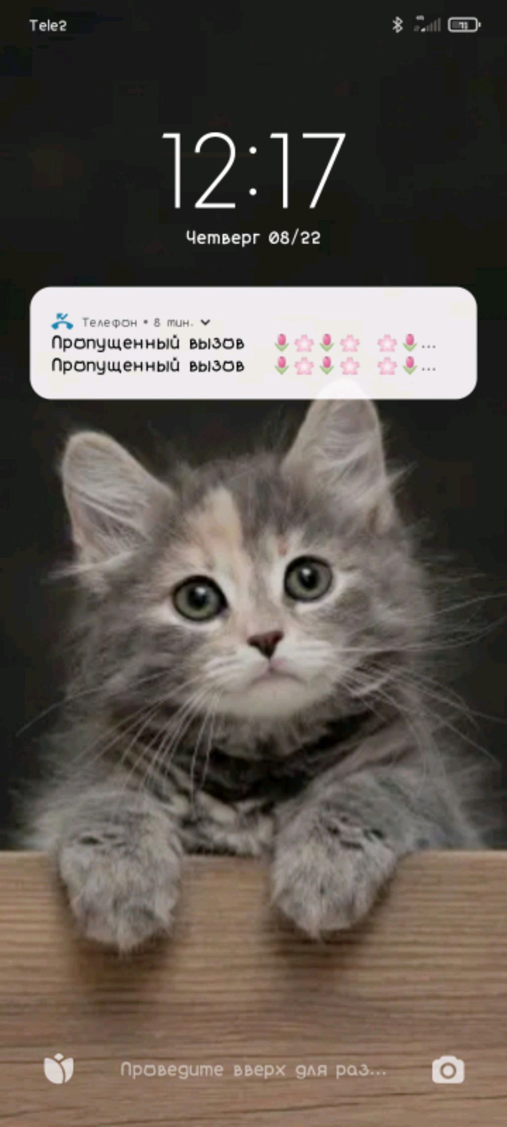 Адрес: улица, номер дома/квартиры, населенный пункт, страна, почтовый индекс смотреть онлайн