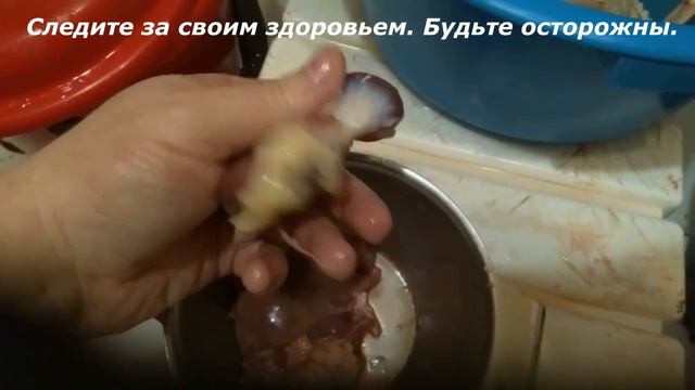 /Часть 4/ Кучинская Юбилейная.Прощание с породой Забойный возраст 1,3 месяца.Следите за свои здоро смотреть онлайн