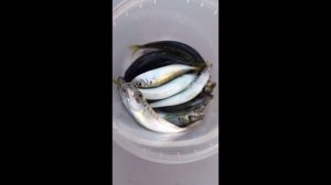 Рыбалка в день рождения