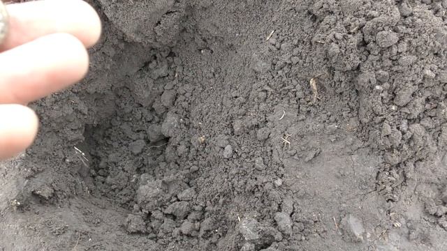 РЕАЛЬНО ПОВЕЗЛО НАЙТИ ТАКОЕ... в ПОЛЕ, ДАЖЕ не НАДЕЯЛСЯ на ЭТО! Коп с RUTUS ALTER 71. смотреть онлайн