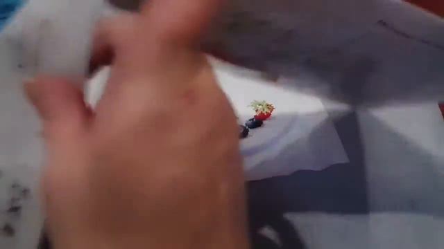 СП " Деревенька моя" отчет № 1 смотреть онлайн